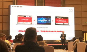 同策房產(chǎn)咨詢股份的信息技術(shù)咨詢服務(wù)